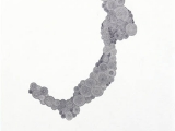 Drawings_Untitled1
