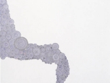 Drawings_untitled8